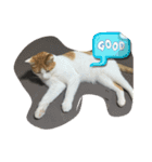 くまらいむかいみかん（個別スタンプ：10）