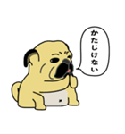 糸吉 パグ スタンプ（個別スタンプ：2）