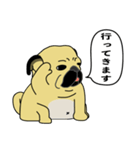 糸吉 パグ スタンプ（個別スタンプ：3）