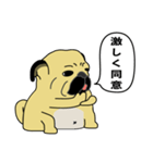 糸吉 パグ スタンプ（個別スタンプ：4）