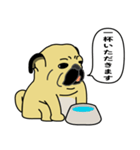 糸吉 パグ スタンプ（個別スタンプ：5）