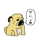 糸吉 パグ スタンプ（個別スタンプ：8）