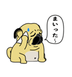 糸吉 パグ スタンプ（個別スタンプ：9）