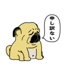 糸吉 パグ スタンプ（個別スタンプ：12）