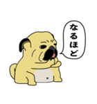糸吉 パグ スタンプ（個別スタンプ：17）