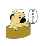 糸吉 パグ スタンプ（個別スタンプ：19）