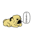 糸吉 パグ スタンプ（個別スタンプ：21）