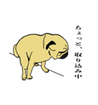 糸吉 パグ スタンプ（個別スタンプ：24）