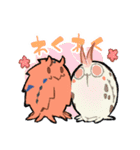 かわいいホテイヨコエビ③（個別スタンプ：5）