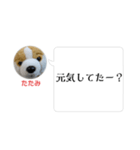 【学生向け】たたみからLINEが来る世界線2（個別スタンプ：5）