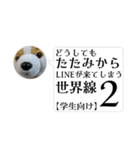 【学生向け】たたみからLINEが来る世界線2（個別スタンプ：40）