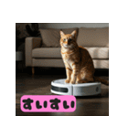 お掃除ロボットの上の猫（個別スタンプ：2）