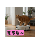 お掃除ロボットの上の猫（個別スタンプ：6）