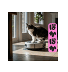 お掃除ロボットの上の猫（個別スタンプ：11）