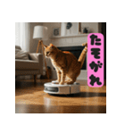 お掃除ロボットの上の猫（個別スタンプ：12）