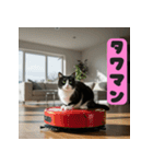 お掃除ロボットの上の猫（個別スタンプ：18）