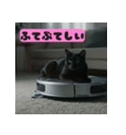 お掃除ロボットの上の猫（個別スタンプ：20）