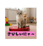 お掃除ロボットの上の猫（個別スタンプ：21）