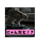 お掃除ロボットの上の猫（個別スタンプ：22）