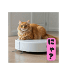 お掃除ロボットの上の猫（個別スタンプ：23）
