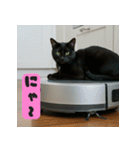 お掃除ロボットの上の猫（個別スタンプ：24）
