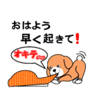 吾輩は愛犬ぺスである（個別スタンプ：1）