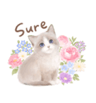 ［英語］大人かわいい♡ねこと花のスタンプ（個別スタンプ：1）