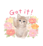 ［英語］大人かわいい♡ねこと花のスタンプ（個別スタンプ：8）