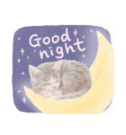 ［英語］大人かわいい♡ねこと花のスタンプ（個別スタンプ：24）