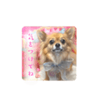 チワワのこめちゃん4（個別スタンプ：28）