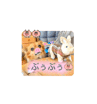 チワワのこめちゃん4（個別スタンプ：40）