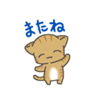 ちっちゃい子猫のBIGスタンプ（個別スタンプ：10）