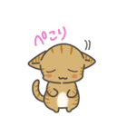 ちっちゃい子猫のBIGスタンプ（個別スタンプ：11）