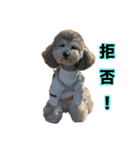 ミニメイ2025（個別スタンプ：10）