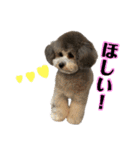 ミニメイ2025（個別スタンプ：13）