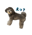ミニメイ2025（個別スタンプ：15）