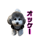 ミニメイ2025（個別スタンプ：16）