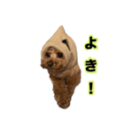 ミニメイ2025（個別スタンプ：37）