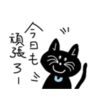 使える、黒ねこ（個別スタンプ：22）