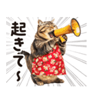 猫ママ 【家族連絡】（個別スタンプ：1）