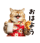 猫ママ 【家族連絡】（個別スタンプ：2）