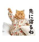 猫ママ 【家族連絡】（個別スタンプ：4）