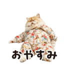 猫ママ 【家族連絡】（個別スタンプ：5）