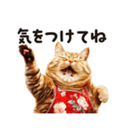 猫ママ 【家族連絡】（個別スタンプ：16）