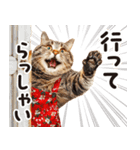 猫ママ 【家族連絡】（個別スタンプ：17）