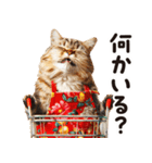 猫ママ 【家族連絡】（個別スタンプ：22）