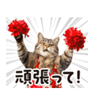 猫ママ 【家族連絡】（個別スタンプ：27）