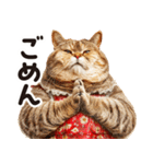 猫ママ 【家族連絡】（個別スタンプ：28）
