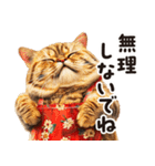 猫ママ 【家族連絡】（個別スタンプ：29）