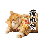 猫ママ 【家族連絡】（個別スタンプ：30）